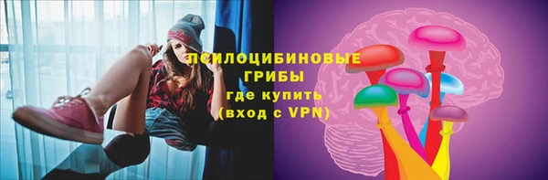 ГАЛЛЮЦИНОГЕННЫЕ ГРИБЫ Верхнеуральск
