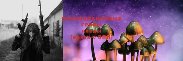 ГАЛЛЮЦИНОГЕННЫЕ ГРИБЫ Верхнеуральск