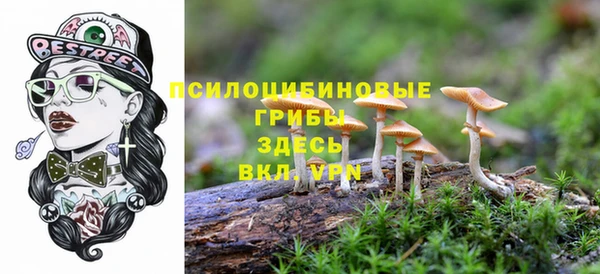 ГАЛЛЮЦИНОГЕННЫЕ ГРИБЫ Верхнеуральск