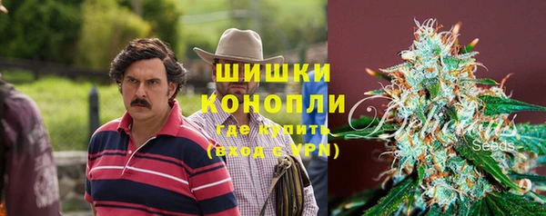 ГАЛЛЮЦИНОГЕННЫЕ ГРИБЫ Верхнеуральск