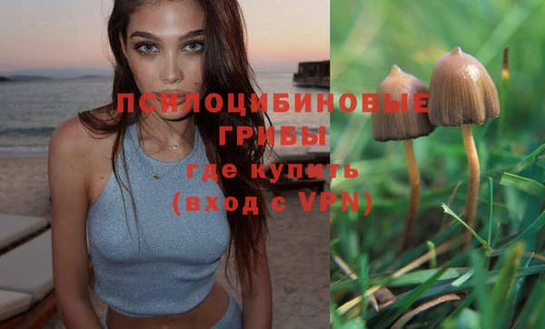 ГАЛЛЮЦИНОГЕННЫЕ ГРИБЫ Верхнеуральск