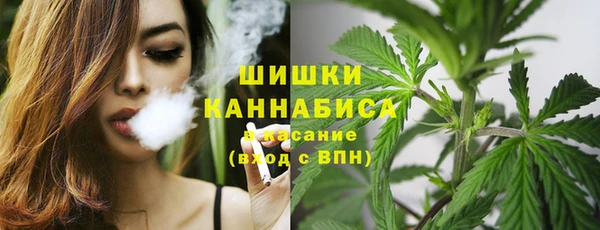 ГАЛЛЮЦИНОГЕННЫЕ ГРИБЫ Верхнеуральск