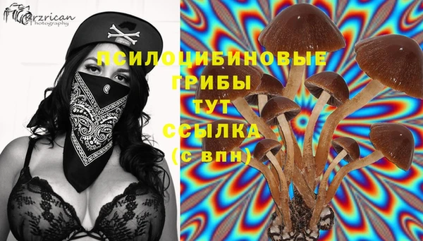гидра Семёнов