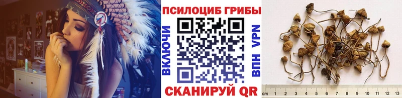 Псилоцибиновые грибы прущие грибы  Кизилюрт 